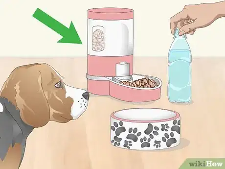 Image titled Pack for Your Dog Step 1