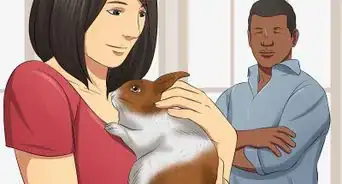 Socialize Your Rabbit