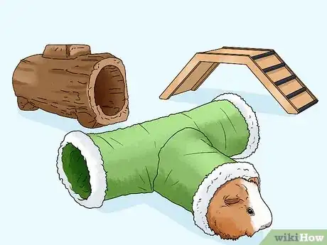 Image titled Keep Your Guinea Pigs Healthy Step 14