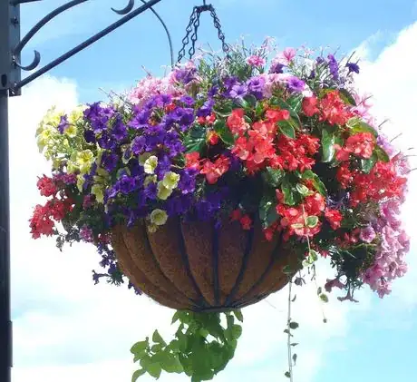 Image titled Hangingbasket 1