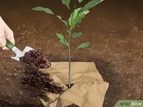 Image titled Reuse Shopping Bags Step 12