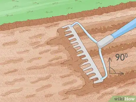 Image titled Grow Night Scented Stock Step 5