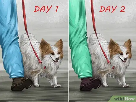 Image titled Prepare Your Small Dog for Apartment Living Step 11