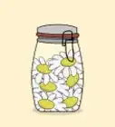 Grow Chamomile