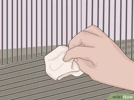 Image titled Give a Chinchilla a Dust Bath Step 19