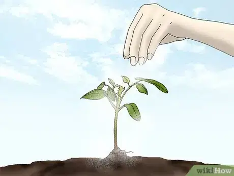 Image titled Grow Quince Step 8