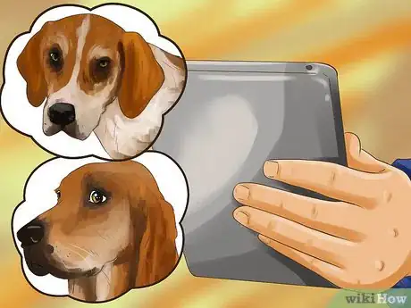 Image titled Adopt a Hound Dog Step 1