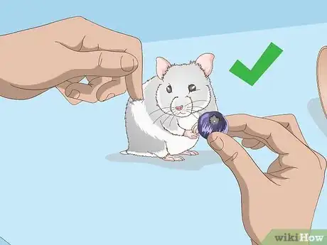 Image titled Train a Hamster to Run Through Tunnels Step 3
