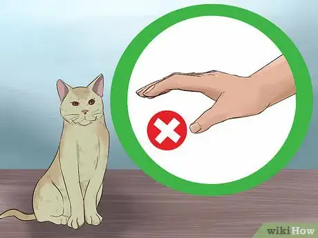 Image titled Stop a Fearful Cat from Biting Step 5