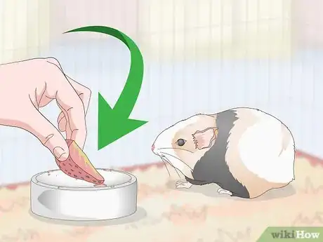 Image titled Give Your Guinea Pig Treats Step 6