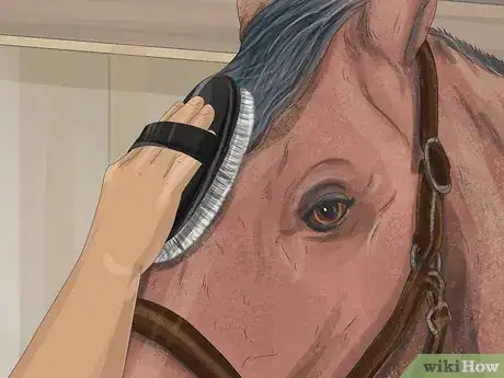 Image titled Brush a Horse Step 9