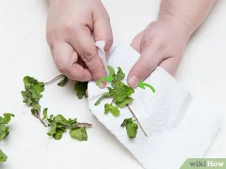Image titled Get Rid of Acne Using Mint Leaves Step 2