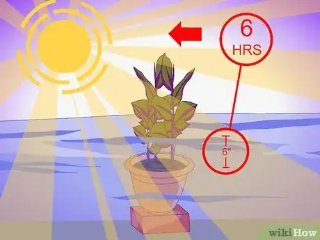 Image titled Plant Aquatic Plants Step 23