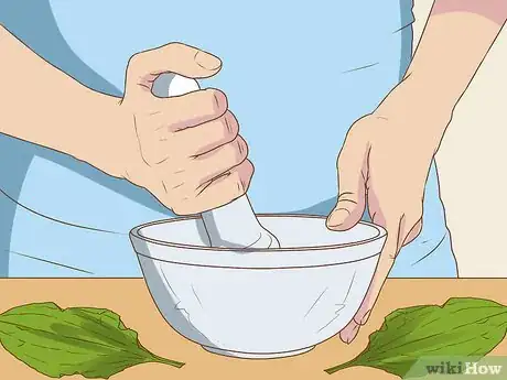 Image titled Harvest Plantain Leaves Step 10