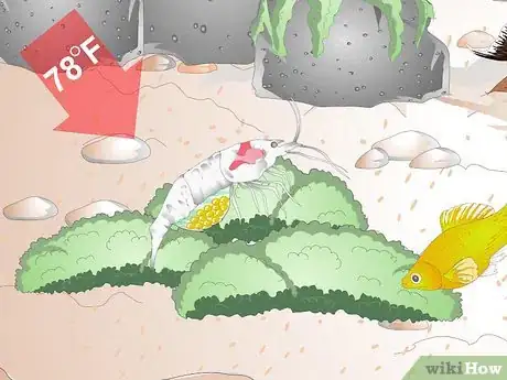 Image titled Keep Crystal Red Shrimp Step 14