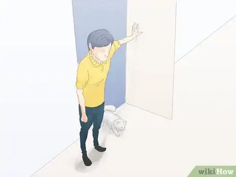 Image titled Keep a Cat from Running Away when It Is Moved Step 8