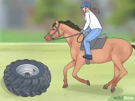 Image titled Succeed at Your First Horse Show Step 8