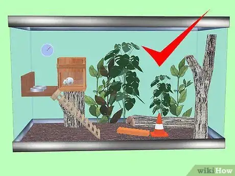 Image titled Furnish a Vivarium for Your Exotic Rodent Step 1