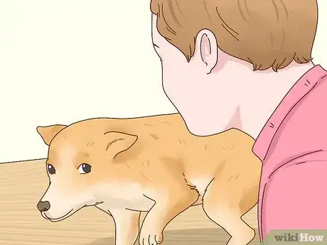 Image titled Recognize Signs of Anxiety in Dogs Step 8