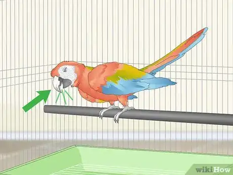 Image titled Treat Allergies in Macaws Step 9