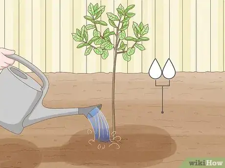 Image titled Keep a Pear Tree Healthy Step 5