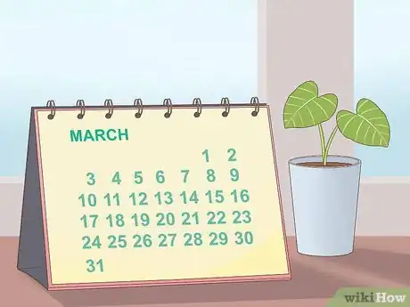 Image titled Visit Petra Step 1