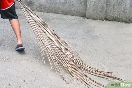 Image titled Make a Broom Using a Coconut Leaf Step 2