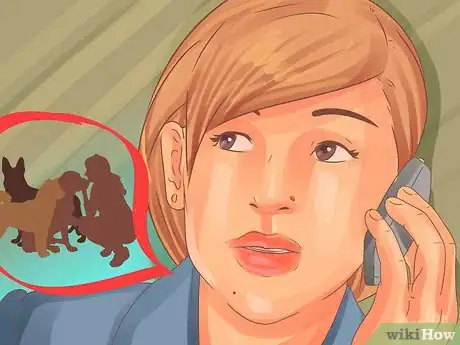 Image titled Choose a Lowchen Puppy Step 4