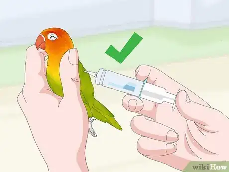 Image titled Treat Chlamydiosis in Lovebirds Step 4