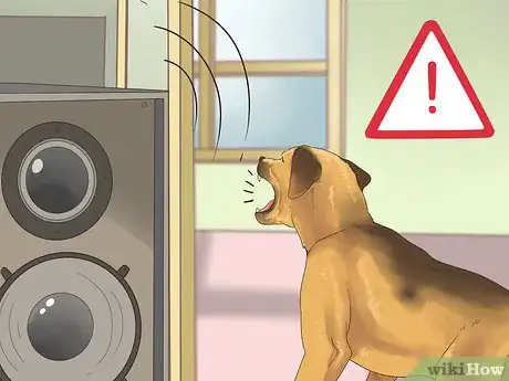 Image titled Manage Behavioral Dysfunction in Older Dogs Step 14