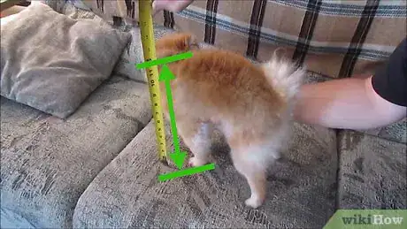 Image titled Make Raised Dog Bowls Step 1