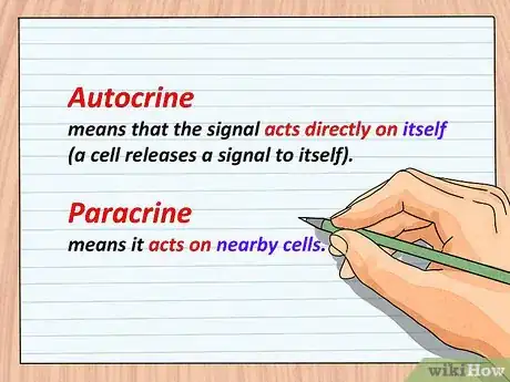 Image titled Study the Functions of Protein Hormones in Humans Step 3