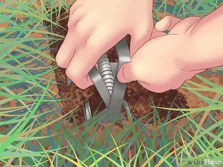 Image titled Catch Moles Step 9