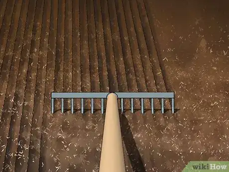 Image titled Plant Safflower Seeds Step 3