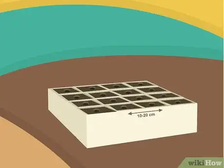 Image titled Grow Cumin Step 06