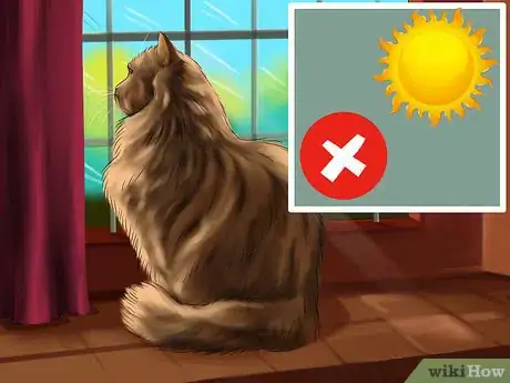 Image titled Treat Keratitis in Cats Step 11