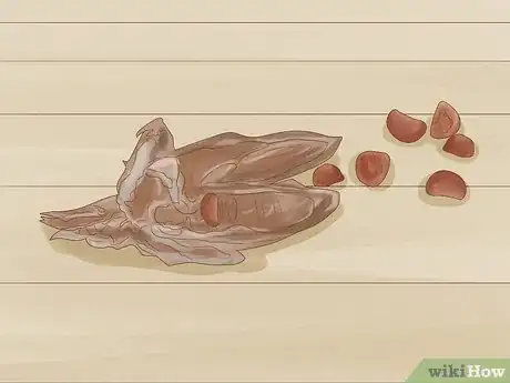 Image titled Grow Bearded Irises Step 13