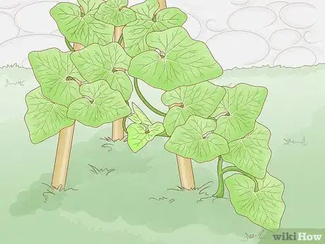 Image titled Care for a Garden (for Renters) Step 10