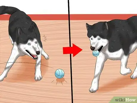 Image titled Deal with Having a Visually Impaired Dog Step 11