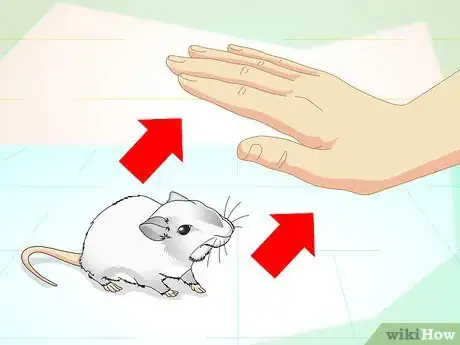 Image titled Tame Your Gerbils Step 13