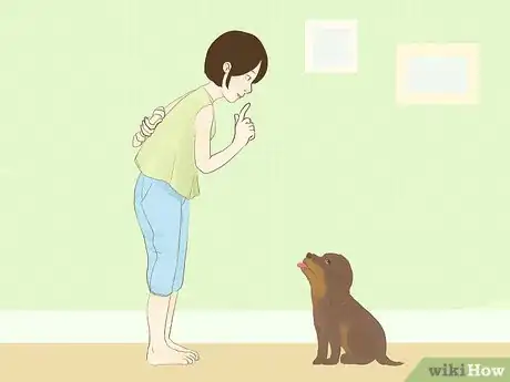 Image titled Buy a Purebred Puppy Step 13