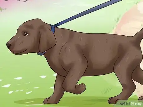 Image titled Get Your Puppy to Stop Biting Step 15