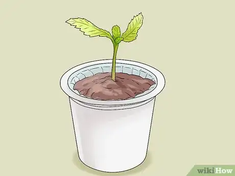 Image titled Recycle K Cups Step 12