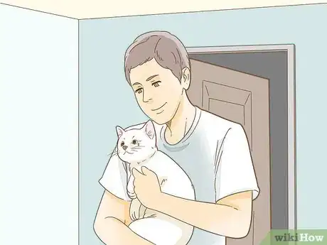 Image titled Look After Pets During Fireworks Step 8