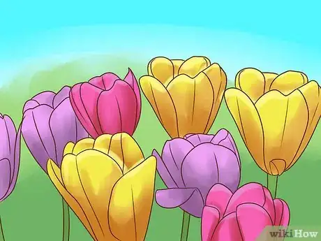 Image titled Arrange Tulips Step 2