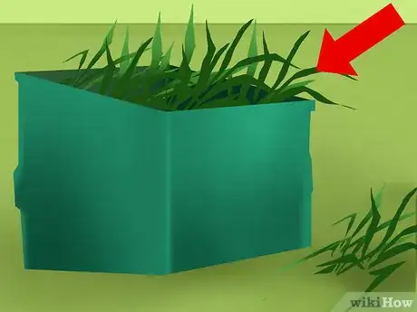 Image titled Harvest Sugar Cane Step 6