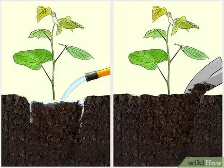 Image titled Plant Redbud Trees Step 7