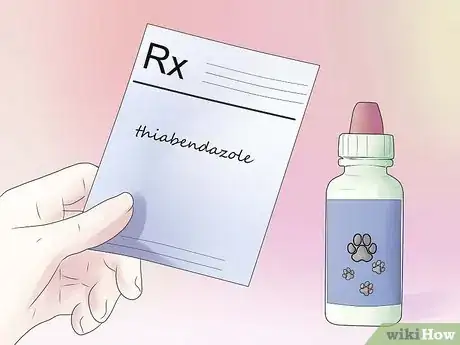 Image titled Remove Ear Mites from a Dog Step 3