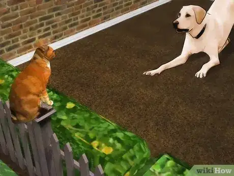 Image titled Prevent Canine Ear Mites Step 4