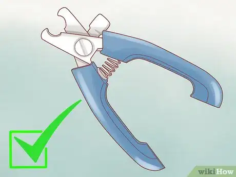 Image titled Groom Your Dog at Home Between Professional Groomings Step 3